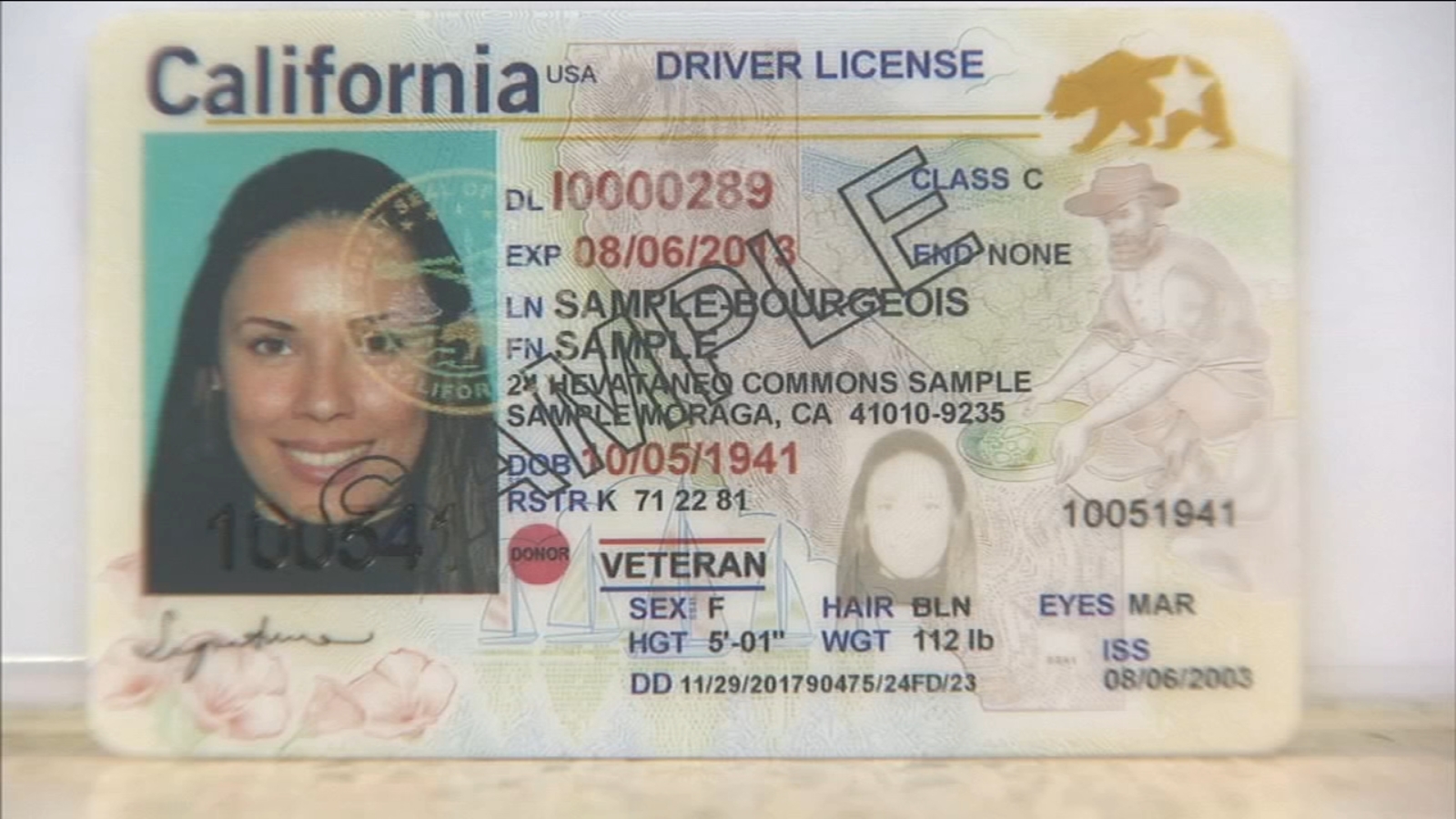 Georgia Drivers License Font Size